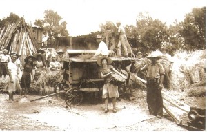 Os 131 anos da imigração ucraniana