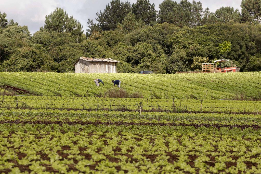 O Paraná Produtivo também fará parte do Plano de Desenvolvimento de Longo Prazo do Estado, ajudando a projetar as cidades das novas gerações.