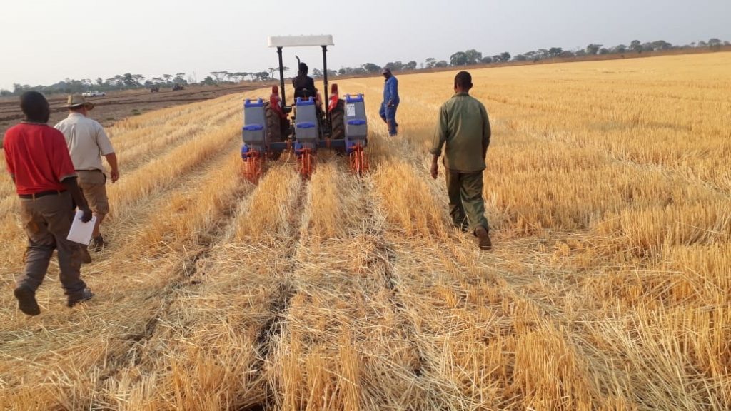 Indústria Mecânica Knapik ajuda a erradicar a fome na África
