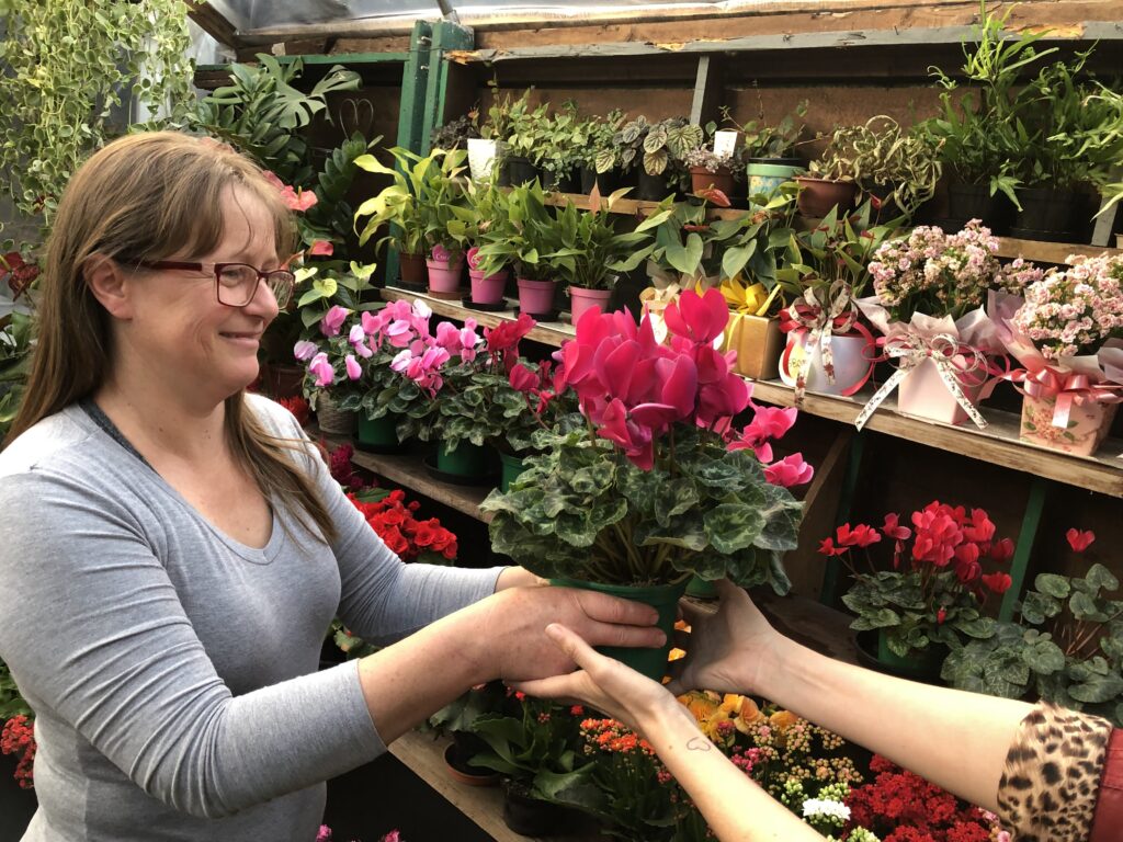 Especial: Mercado de flores e decoração no Vale do Iguaçu