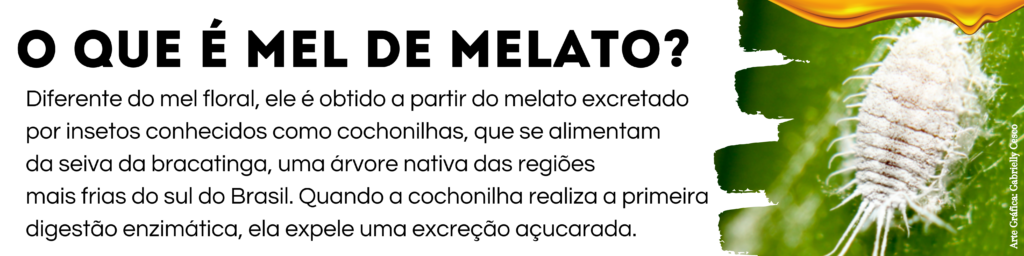 Especial: Molimel é destaque na oferta de mel de bracatinga 