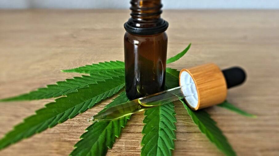 Uso de extrato de cannabis é testado em pacientes com Alzheimer no Paraná