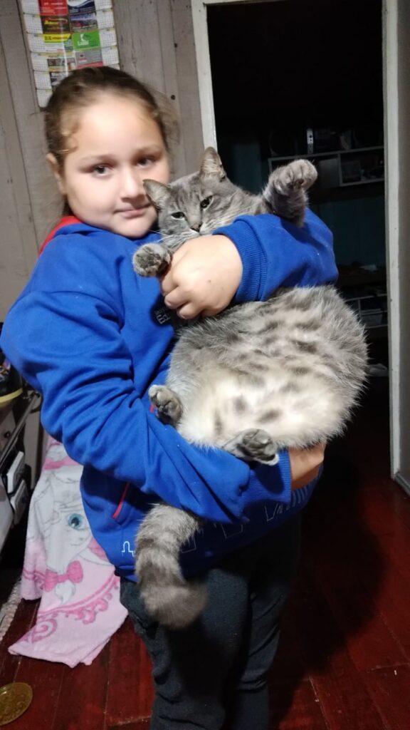 A exemplo dos humanos, cães e gatos também podem doar sangue