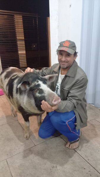 Conheça Preta, a porquinha que deixou de ser churrasco para virar membro da família