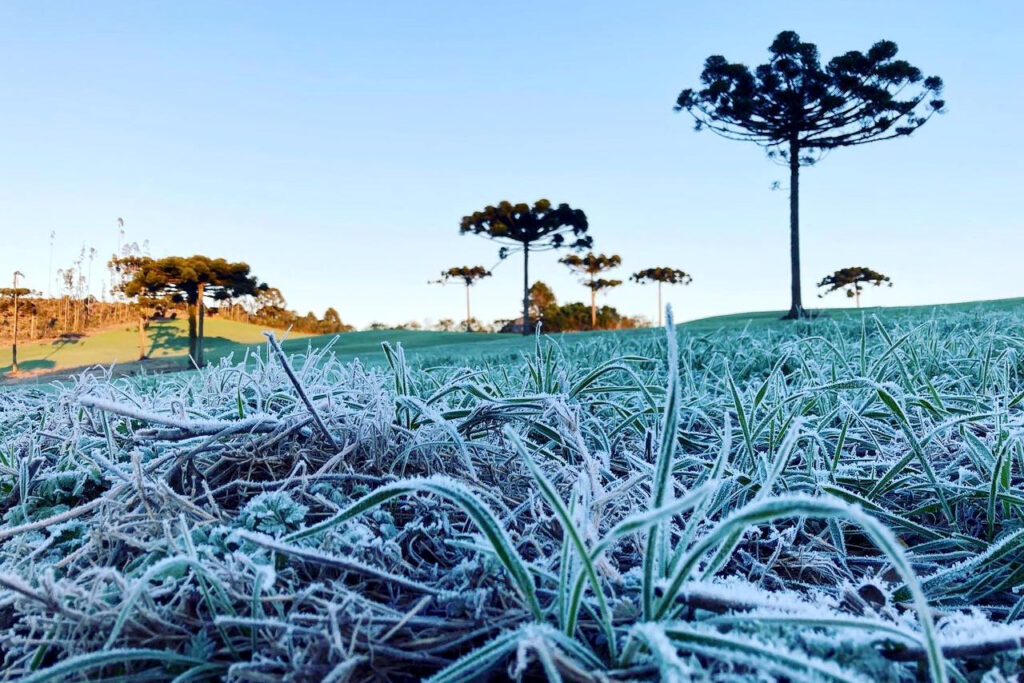 Inverno deve ser menos rigoroso e com períodos de frio mais curtos
