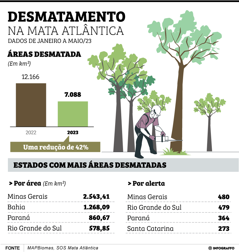 Desmatamento na Mata Atlântica