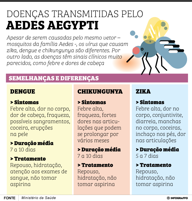 Aedes Aegypti