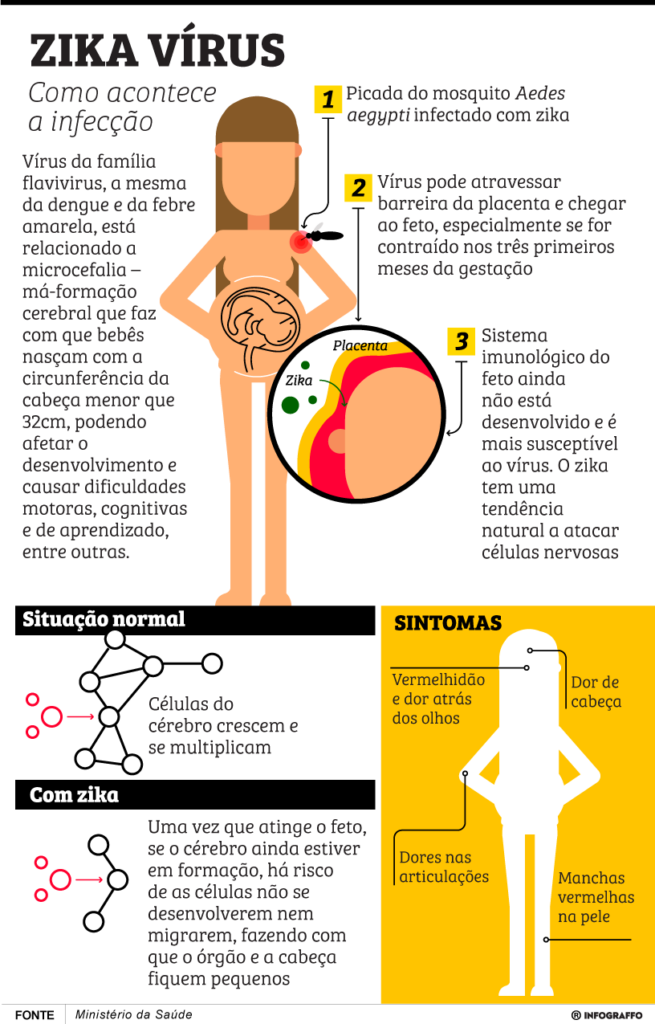Zika Vírus