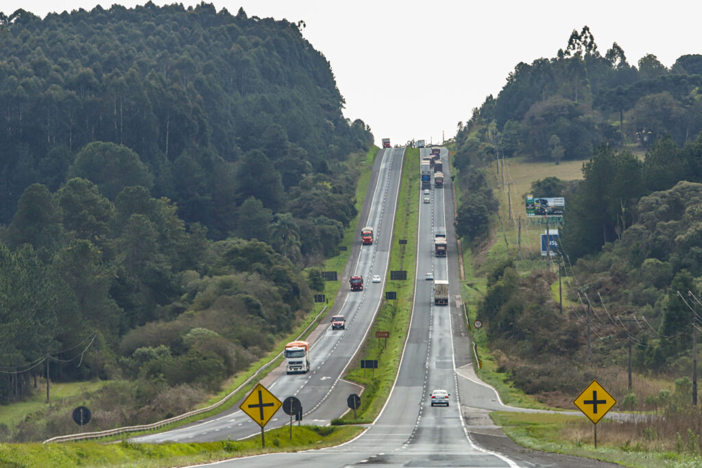 Foto: Divulgação/AEN-PR