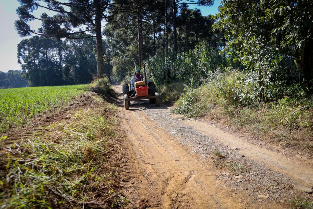 Erva-mate do Paraná vira destaque do Prêmio Orgulho da Terra