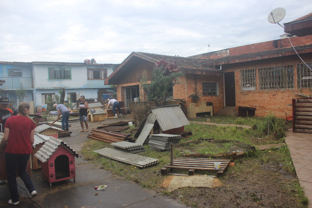 VOLUNTÁRIOS SE DEDICAM AO ABRIGO DE ANIMAIS NO VALE DO IGUAÇU