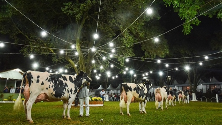 Foto: Reprodução/Expoleite