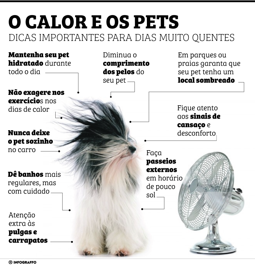 O calor e os pets