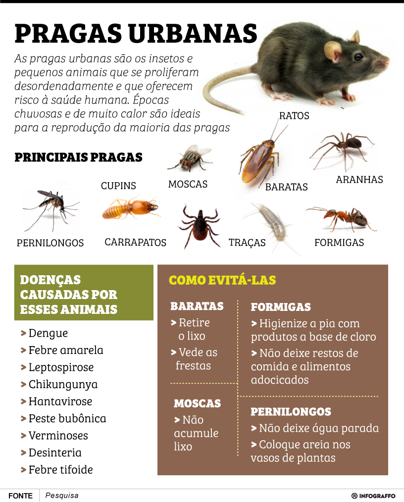 Pragas urbanas