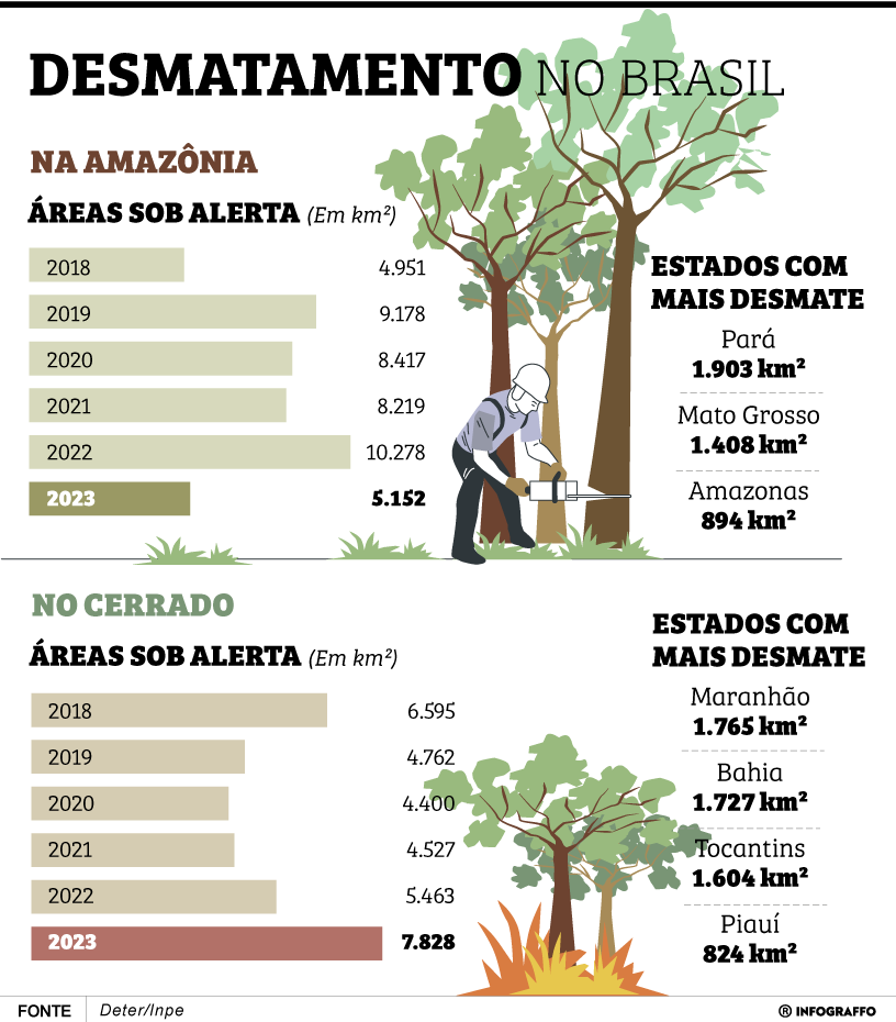 Desmatamento no Brasil