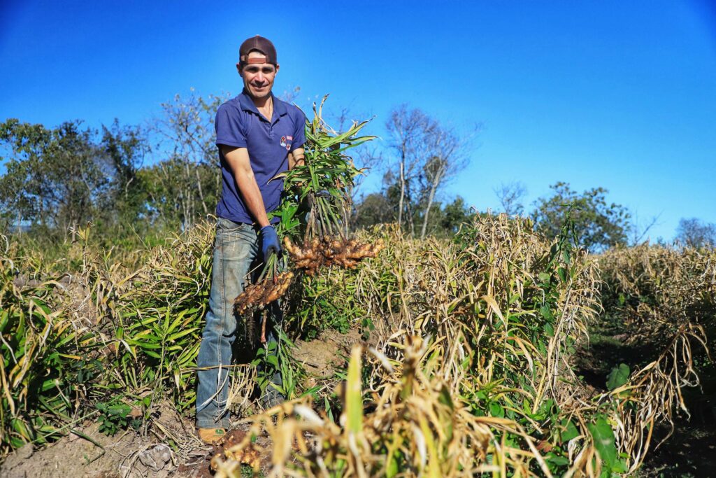 Paraná seleciona 34 profissionais em programa de residência em economia rural
