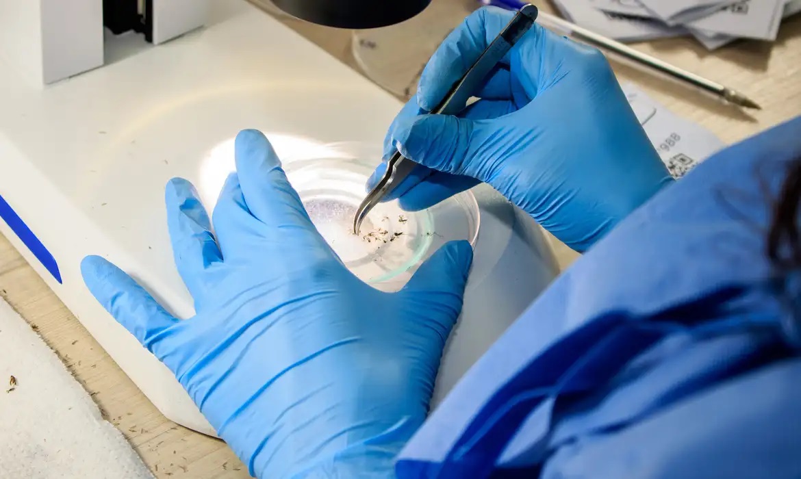 Mesmo sem casos de transmissão local, dengue é preocupação na região