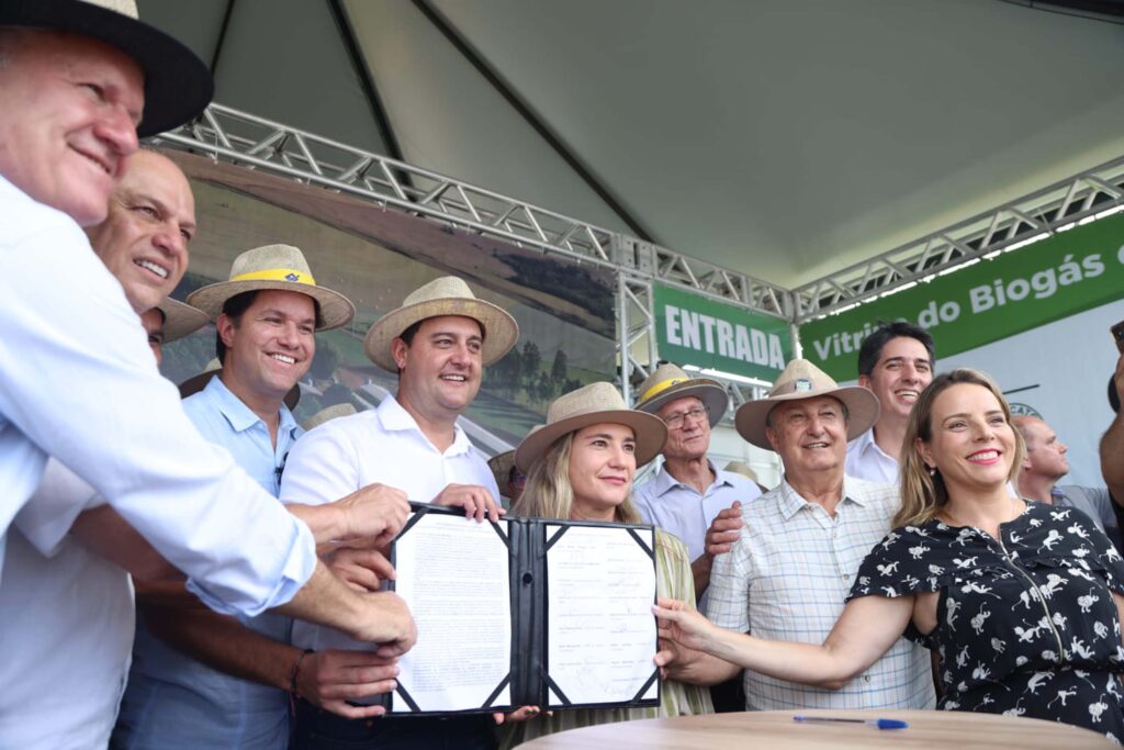 Energia renovável
