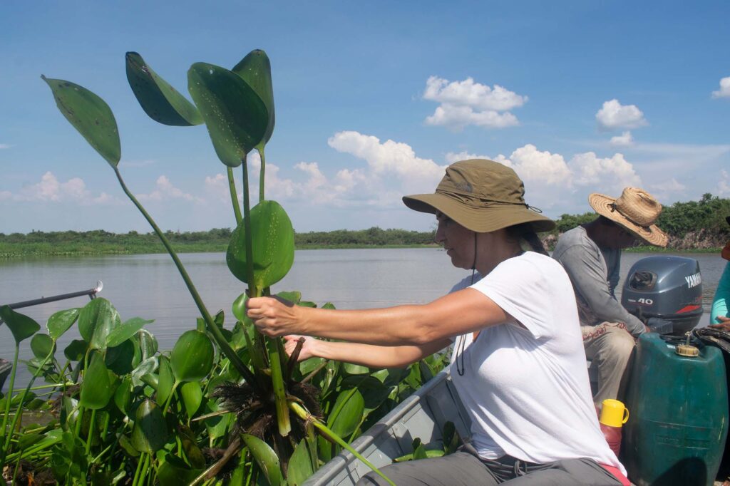 COLUNA PELO PARANÁ: Startup da biodiversidade