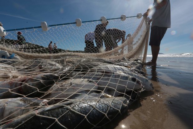 COLUNA PELO ESTADO: Ação contra cotas de pesca pode não dar em nada