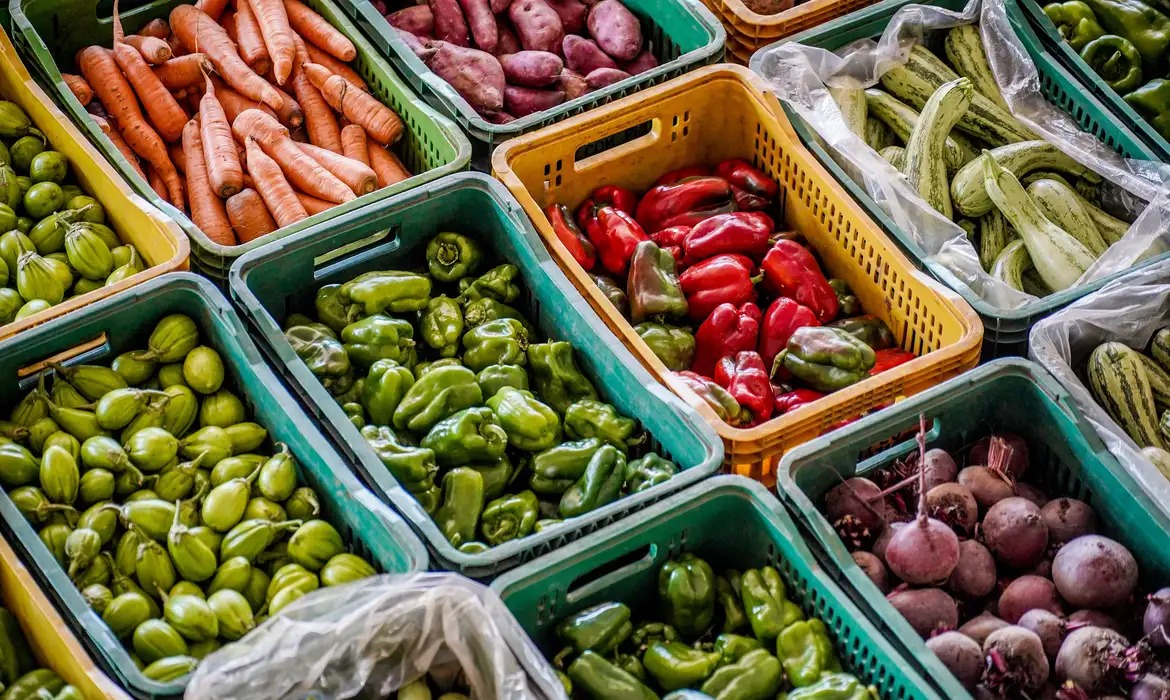 COLUNA PELO PARANÁ: Alimentos