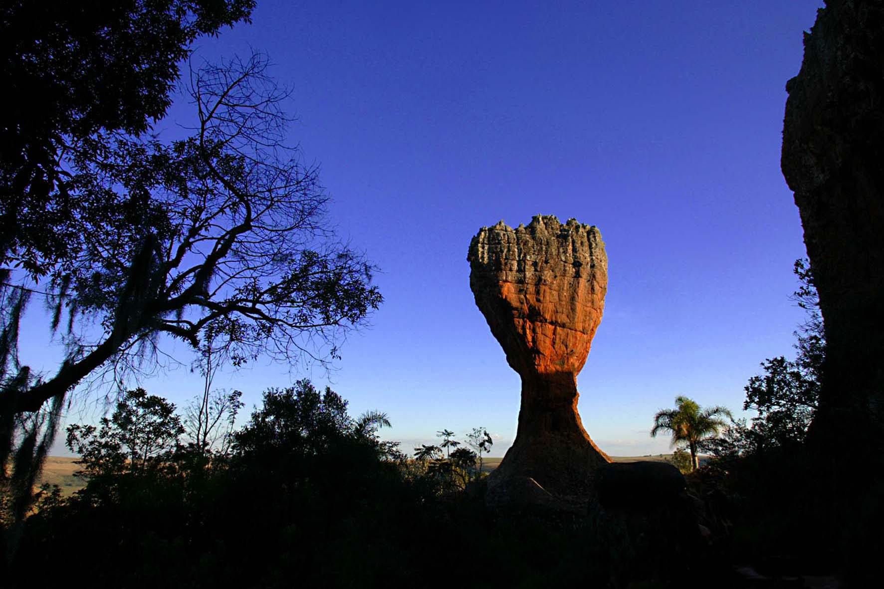 COLUNA PELO PARANÁ: Parques Abertos