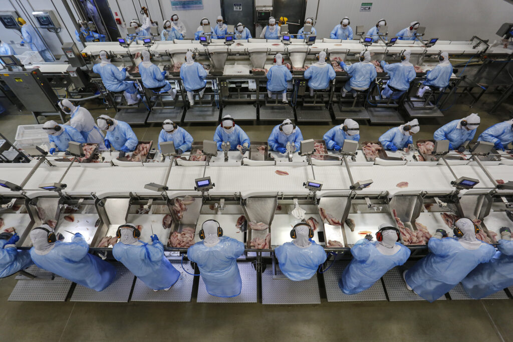 COLUNA PELO PARANÁ: Geração de empregos