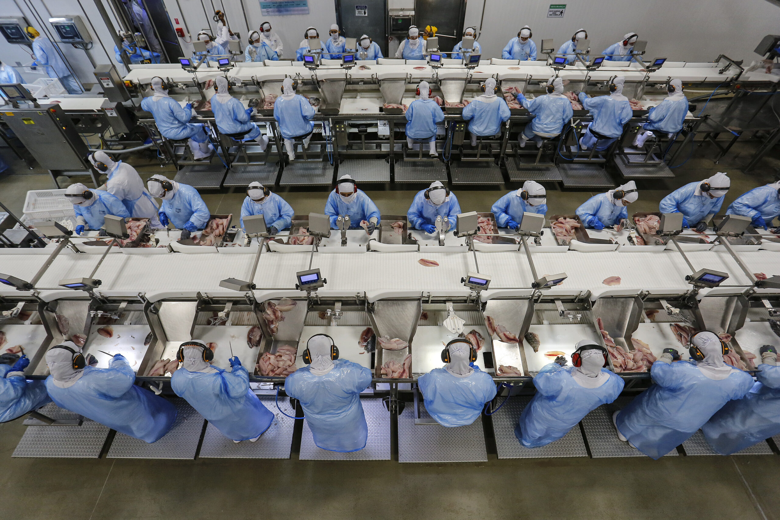 COLUNA PELO PARANÁ: Geração de empregos