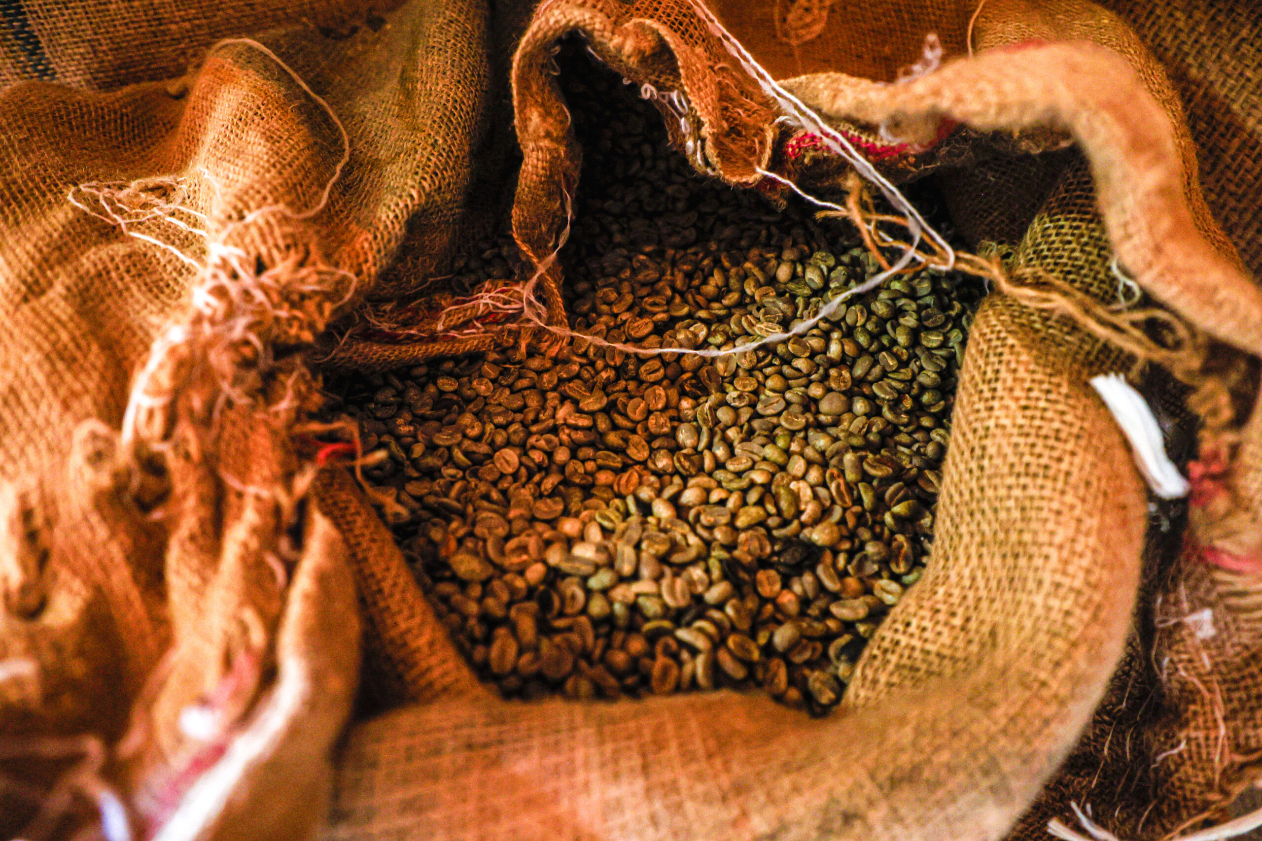 COLUNA PELO PARANÁ: Internacional do Café